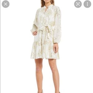 Gold & Ivory Organza Dress